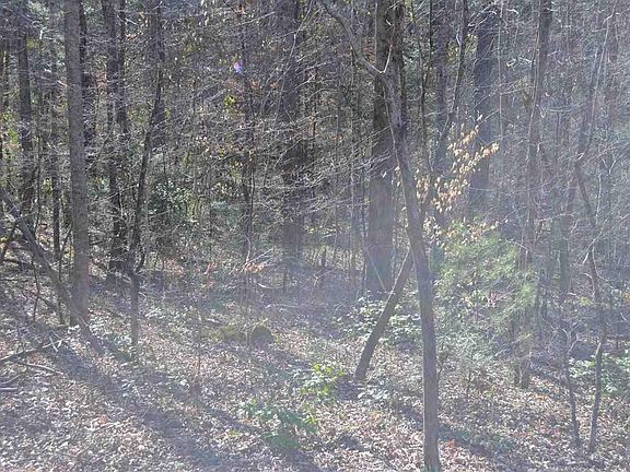 5th image of 0 Tom Henry Rd Lot 1