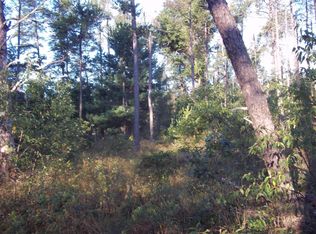 N Forman Rd, Irons, MI 49644