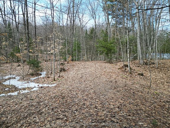 3rd image of 1231 Big Hawk Lake Rd