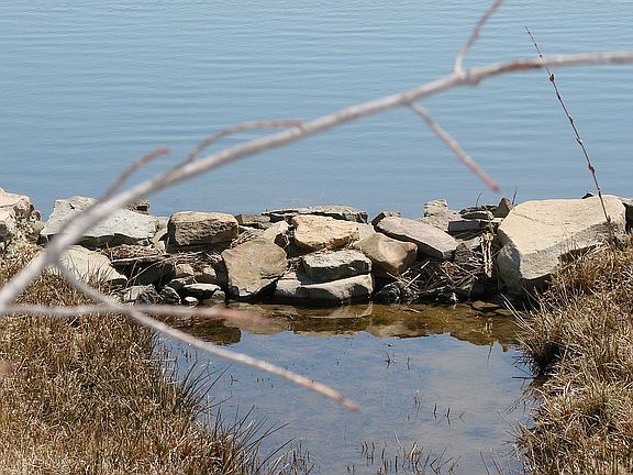 Stones around pond