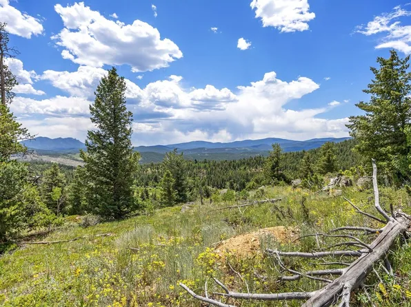 1568 County Road 103, Nederland, CO 80466