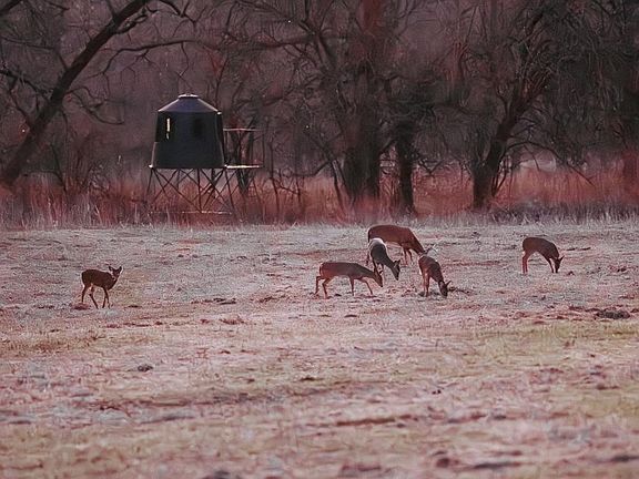 3rd image of 0 202nd Rd