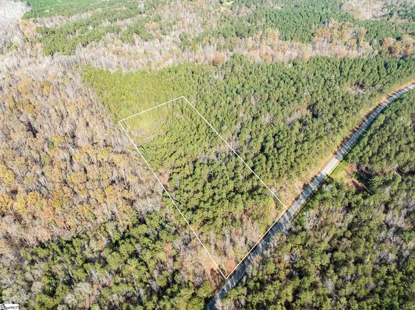 0 Elford Grove Rd Tract 5, Jonesville, SC 29353