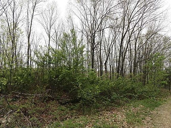 5th image of Rochester Dr