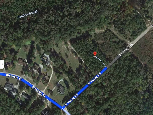 0 Dr Young Rd, Hampton, SC 29924