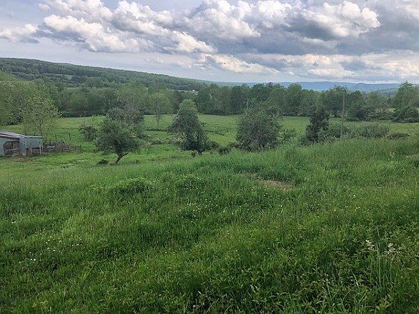 2nd image of 1260 Dinky Track Rd
