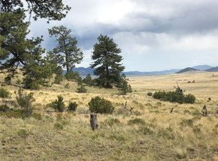 477 Goldenburg Canyon Rd, Hartsel, CO 80449