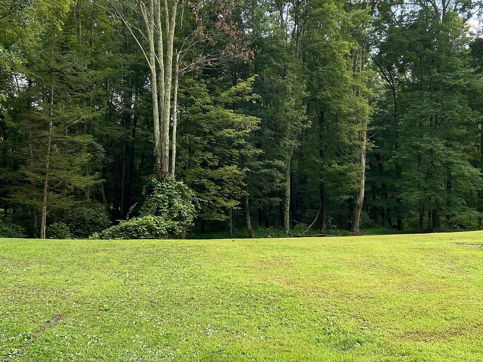 Burlingham Rd, Pine Bush — Photo 2