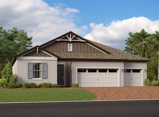 13554 Brook Trout Ct, Riverview, FL 33579