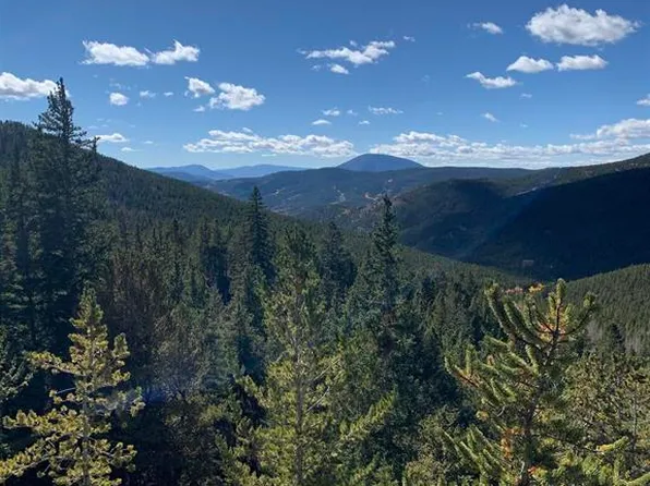 TBD FS-890, White Pine, CO 81248