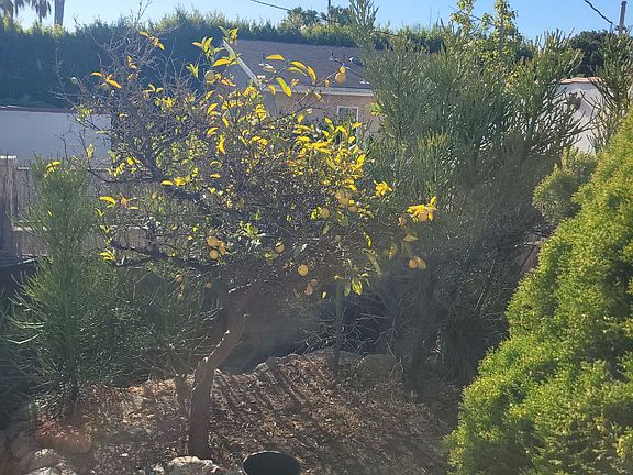 2nd image of 2106 Patricia Ave