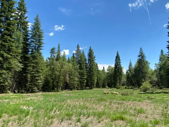 1-C-24 Mount Shasta Dr, McCloud, CA 96057