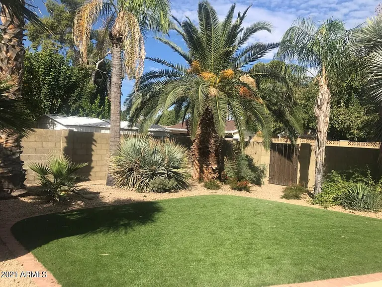 3924 E Yucca St — Photo 10