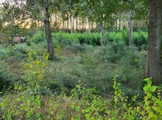 17 Phil Jones Rd, Cobb, GA 31735