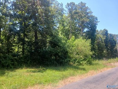 1.15 County Road 126, Pisgah, AL, 35765