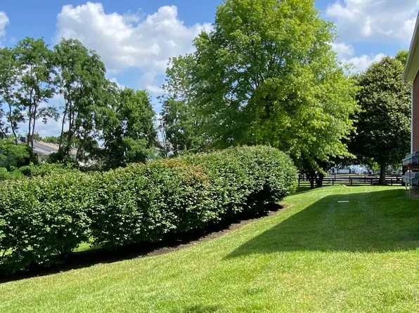 Willow Oaks Apartments