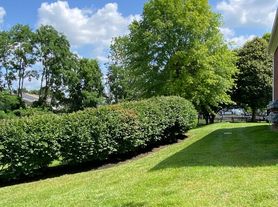 Willow Oaks Apartments