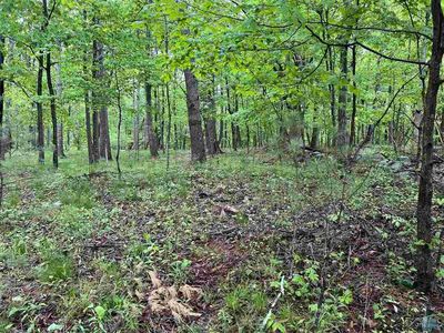 TBD Rt 212, Saugerties, NY, 12477