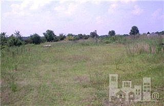 4th image of 1981 Beasley Road