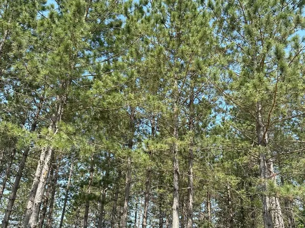 Lund Rd Lot 19, Tomahawk, WI 54487