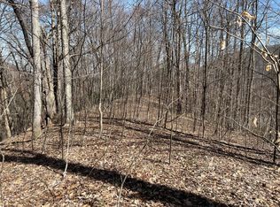 23 Early Spring Way #61, Leicester, NC 28748