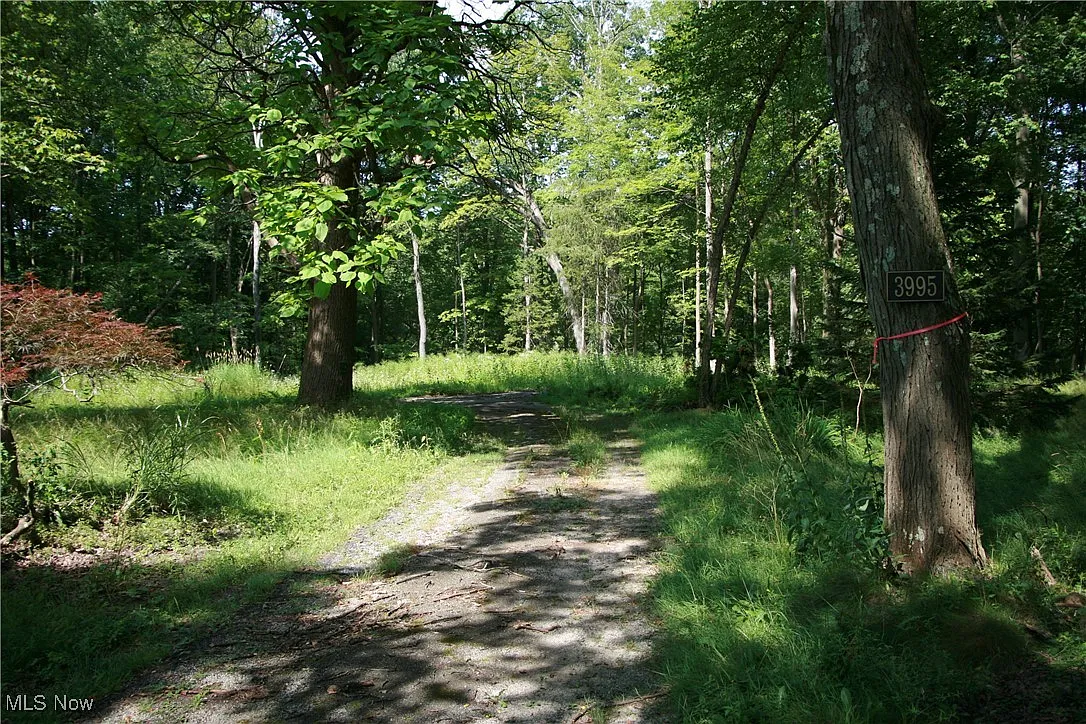 3995 Som Center Rd photo 1