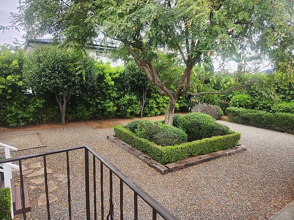 Private backyard with big shade tree