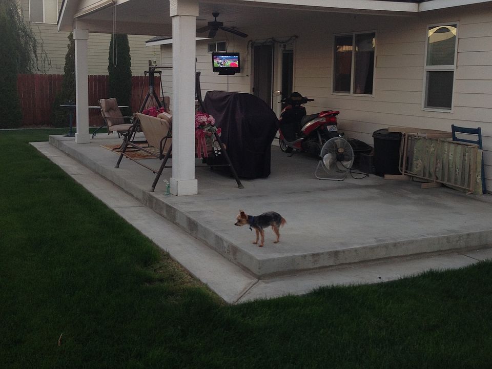 Back yard