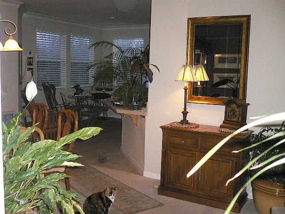 Kitchen Dining area