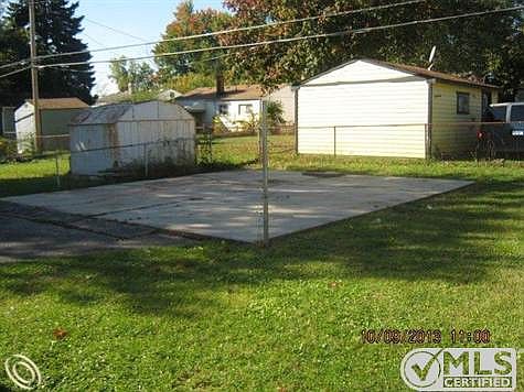 back yard.jpg
