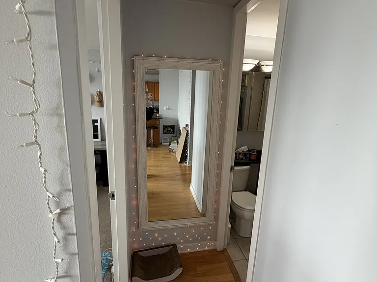 655 W Irving Park Rd #3815 — Photo 6