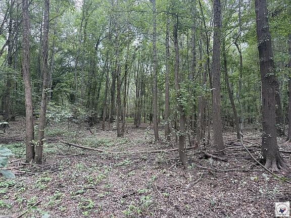 4th image of County Road 4126