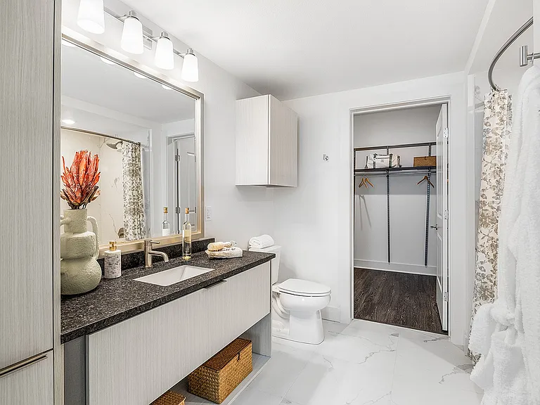 Luxurious modern bathroom