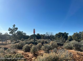 731 Road 4600, Navajo Dam, NM 87419