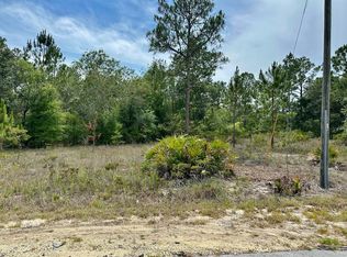0 SW South Haven Ct LOT 10, Dunnellon, FL 34431