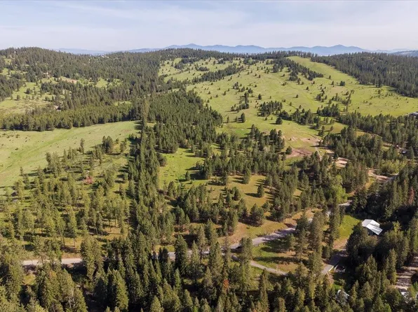 E Belmont Rd, Mica, WA 99023