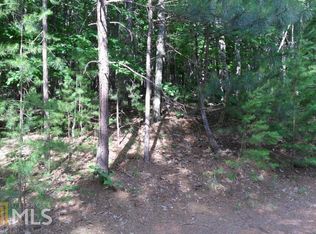 784 Plum Ln, Clarkesville, GA 30523