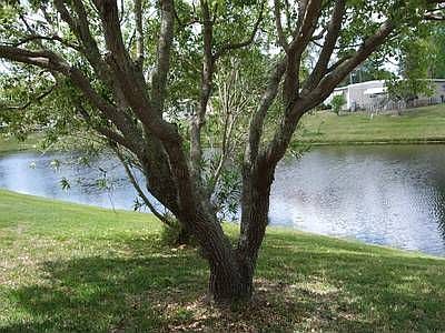 2nd image of 68 Cottagewood Dr #27