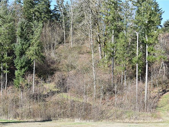 3rd image of 0 xxx Cougar Mountain Airport Road SE