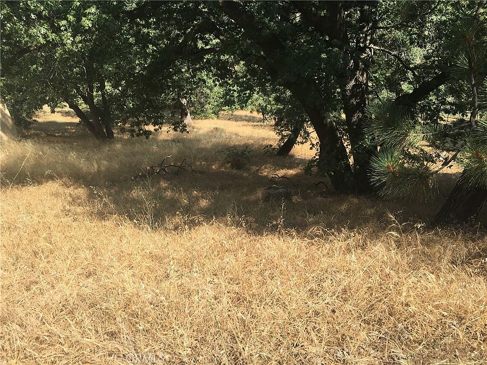 2nd image of 30481 Live Oak Dr #118