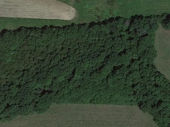 0 German Church Rd, Truxton, MO 63381