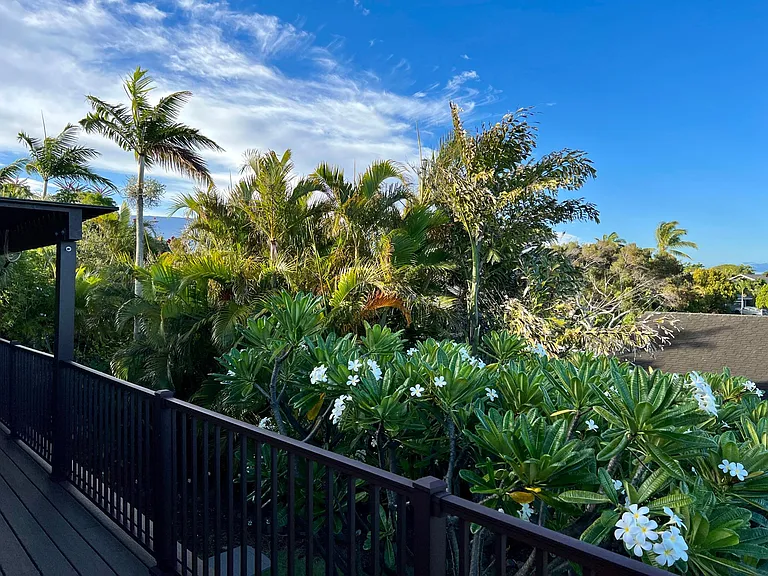 upstairs view with Haleakala poking through