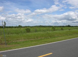 459 Evergreen Church Rd, Cobbtown, GA 30420