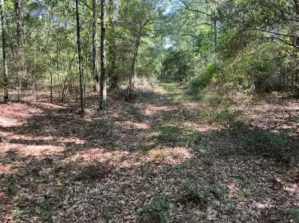 00 Cr #70, Opp, AL 36467