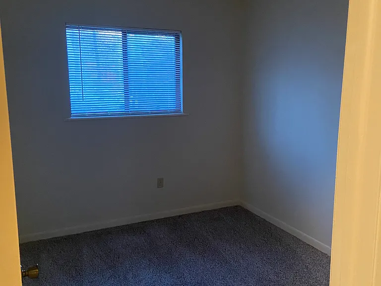 304 Genesis Cir #1 — Photo 3