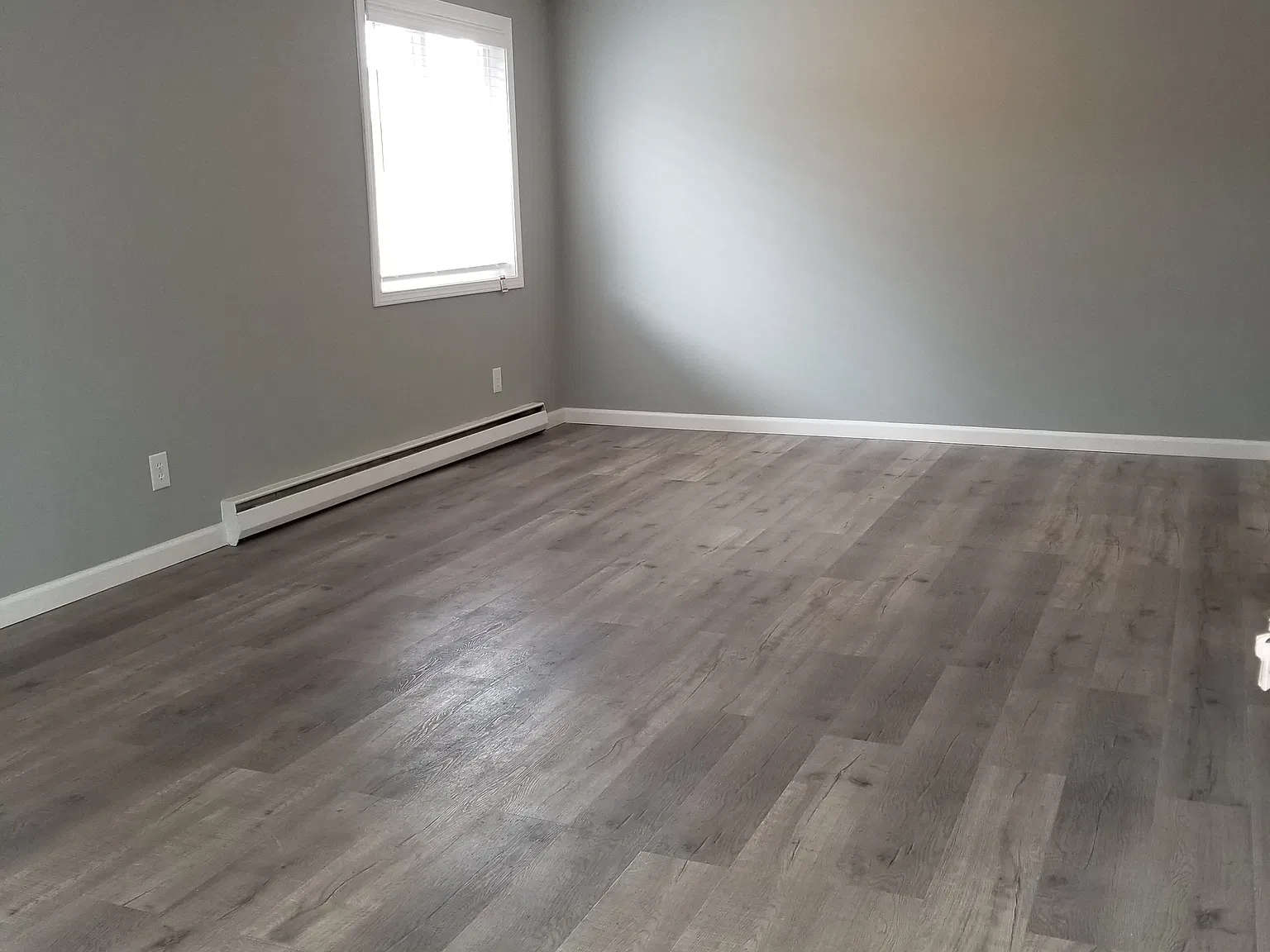 1 bed, 700 sqft, $1,450 — Photo 3