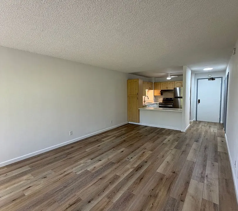 55 S Kukui St #311