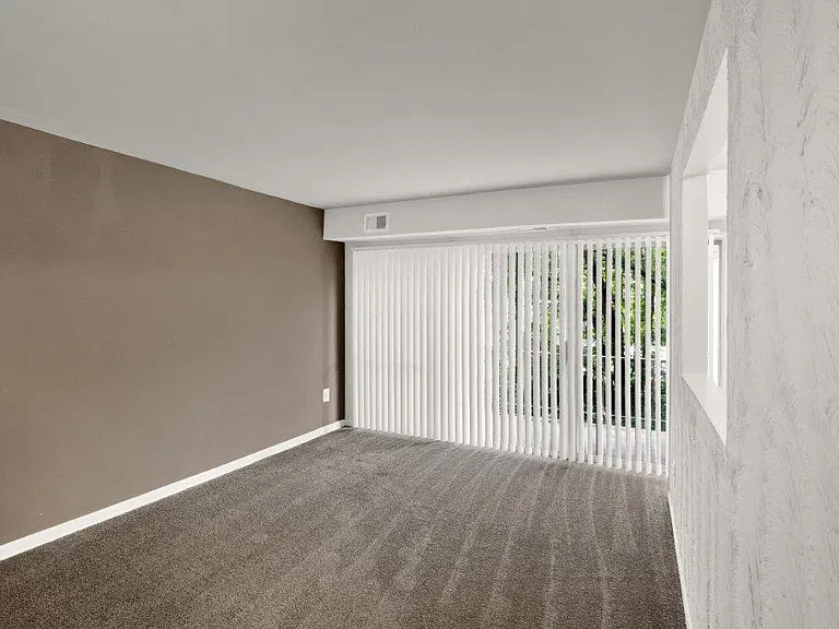Large Living Room Windows