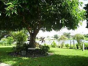 5th image of 107 Floral Ct