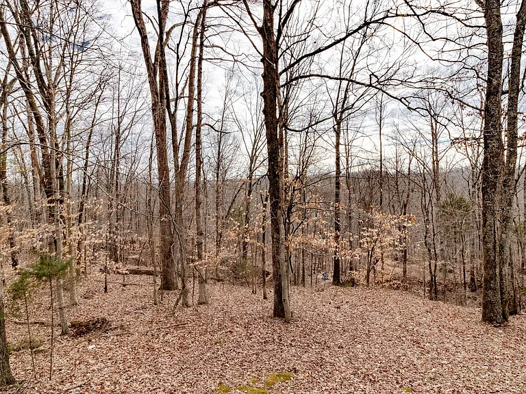 Martha Ln - 481 — Photo 11